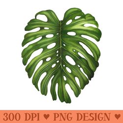 tropical monstera leaf botanical graphic print - png clipart