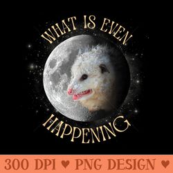 opossum what is even happening funny meme trash cat possum - beautiful png download