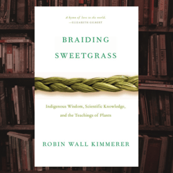 braiding sweetgrass: indigenous wisdom, scientific knowledge and the teachings of plants kindle