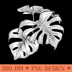 philodendron monstera deliciosa swiss cheese house plant - high resolution png designs