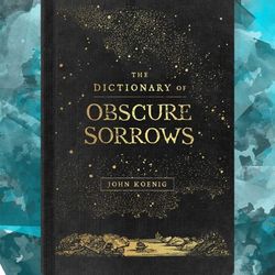 the dictionary of obscure sorrows by john koenig