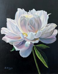 original oil painting "the moon peony"