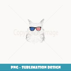cool american cat - usa america flag & firework 4th july