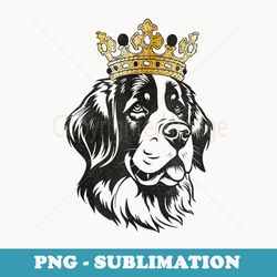 cute saint bernard dog wearing crown - premium sublimation digital download