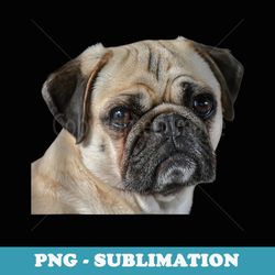pug dog awesome pug dog breed - exclusive sublimation digital file