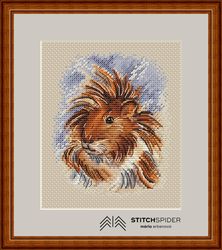 guinea pig counted cross stitch pattern pdf, cssaga,cross stitch animal,xstitch guinea pig, xstitch pet,cross stitch pet