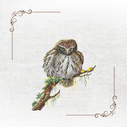 bring woodland magic home with autumn owl embroidery: stitch guide included