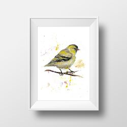 bird carduelis spinus, miniature art, original artwork of watercolor painting 5x7" mixed media