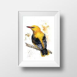 bird golden oriole, miniature art, original artwork of watercolor painting 5x7" mixed media