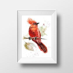 bird habia cristata, miniature art, original artwork of watercolor painting 5x7" mixed media