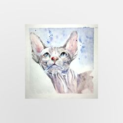 cat sphynx painting cat animal watercolor