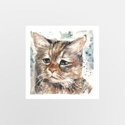 sad cat watercolor draw