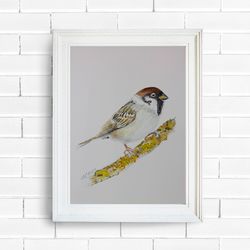 original watercolor painting house sparrow 10"x11" , birds painting, personalized gifts, home art