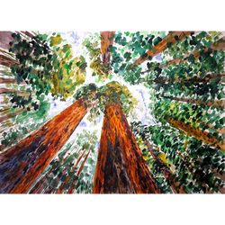 original art painting redwood national park artwork sequoia wall art 16" by 22" california painting