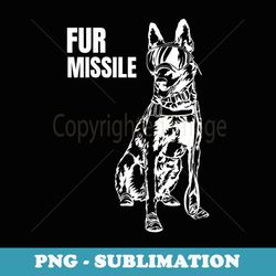 fur missile - funny beligian malinois dog