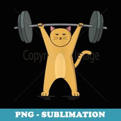 weightlifting - cat barbell