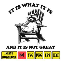 it is what it is and it is not great svg, funny raccoon svg, trash panda svg, opossum svg