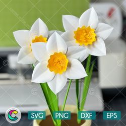daffodil flower svg template