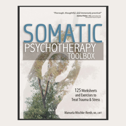 somatic psychotherapy toolbox | pdf digital download