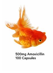 fish mox forte- moxi 500mg aquarium treatment 100 capsules