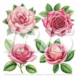 cross stitch scheme for roses