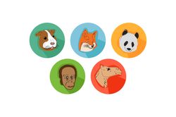 camel friends cartoon animals bundle