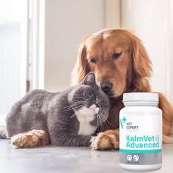 vetexpert kalmvet: natural calming supplement for dogs & cats (stress, anxiety)