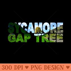 sycamore gap tree - england hadrian's wall - png illustrations