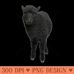 black sheep - high quality png