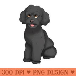 black toy poodle dog - png graphics