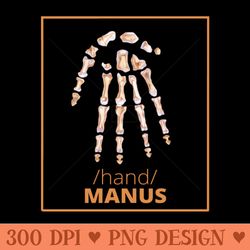 manus hand anatomy set - png download store