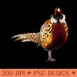 cute pheasant drawing - png download pack