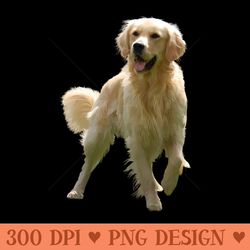 golden retriever - png file download