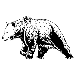 bear svg, bear png, bear vector, bear, svg, png, eps, digital download