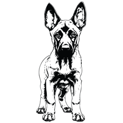 belgian malinois svg, dog svg, belgian malinois png, belgian malinois vector 2