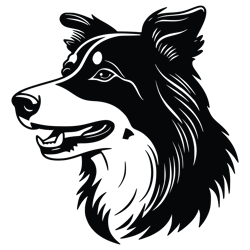 border collie svg, dog svg, border collie png, border collie vector, border collie, vector 3