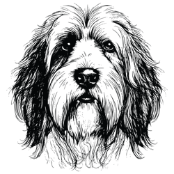 collie svg, dog svg, collie png, collie vector, collie, vector, svg, digital files 3