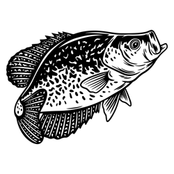 crappie fishing svg, fishing svg, crappie fish svg, crappie clipart, crappie vector