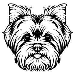 yorkshire terrier svg, yorkshire clipart, yorkshire cricut, yorkshire cutfile, yorkie svg, yorkshire mom svg