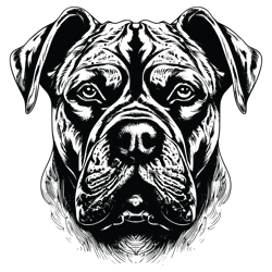 cane corso svg, dog svg, cane corso png, cane corso vector, cane corso, vector, svg, digital files