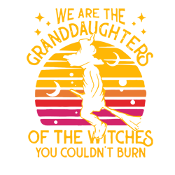 we are the granddaughters of the witches you couldn't burn svg, granddaughter svg, witches svg, witch shirt