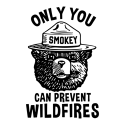 smokey bear only you can prevent wildfires funny svg, trending svg, smokey svg, wildfires svg