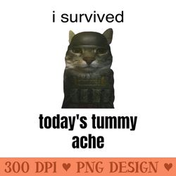 10 years old girl kawaii anime girl 10th birthday todays tummy ache funny army cat tummy ache meme - png downloadable ar