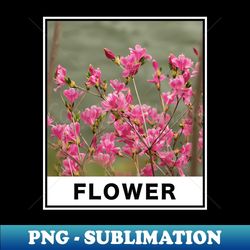 beautiful pink flower photography - vintage sublimation png download