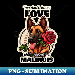 malinois valentine's day - png transparent digital download file for sublimation