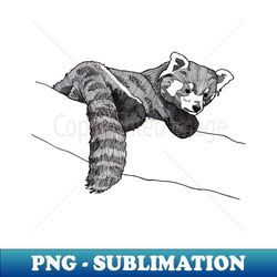 hang in there - png transparent digital download file for sublimation