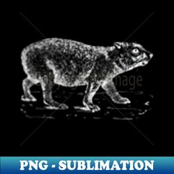 rock hyrax - high-resolution png sublimation file