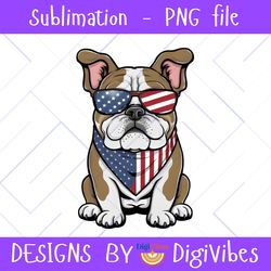 4th of july english bulldog png sublimation design, english bulldog png, usa flag png, bulldog png, independence day