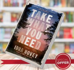 take what you need- a novelby idra novey