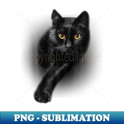 black cat yellow eyes cats s - instant png sublimation download